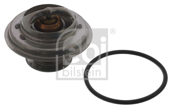 THERMOSTAT