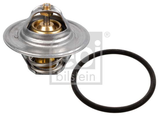 THERMOSTAT