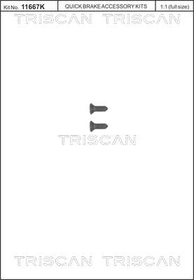 Vis, disque de frein
