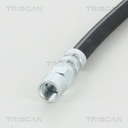 815029205_2
