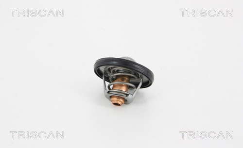 Thermostat d'eau