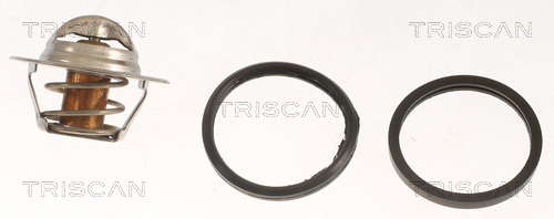 Thermostat d'eau