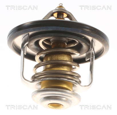 Thermostat d'eau