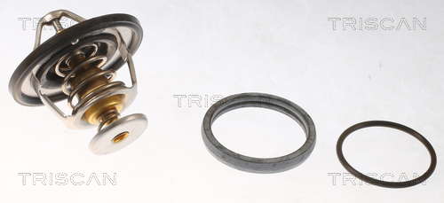 Thermostat d'eau