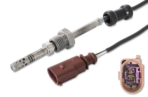 Palpeur de température des gaz