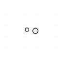 NISSENS_I891019-5