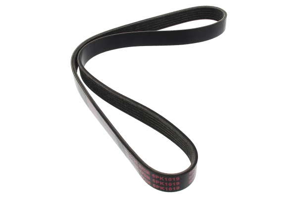 Courroie d'accessoire