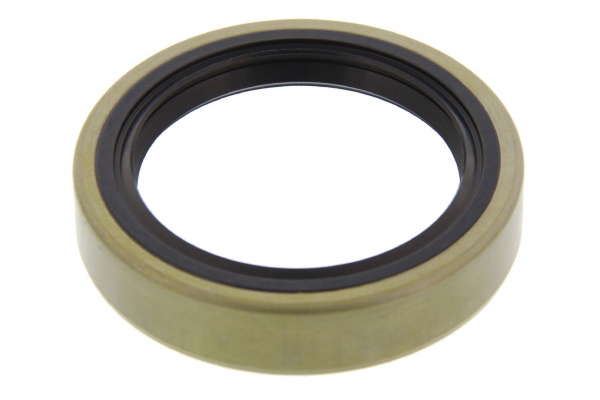 Bague d'étanchéité (roulement de roue)