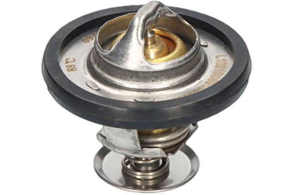 Thermostat d'eau