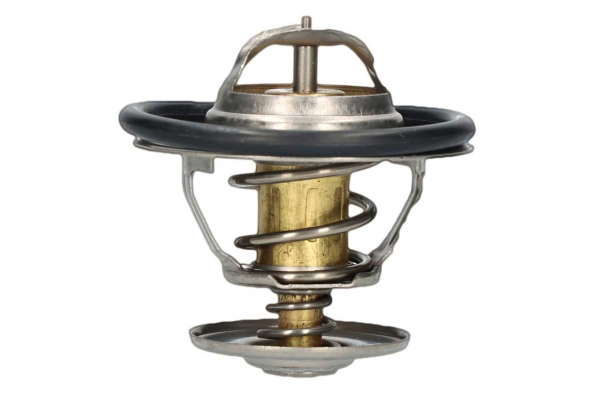 Thermostat d'eau