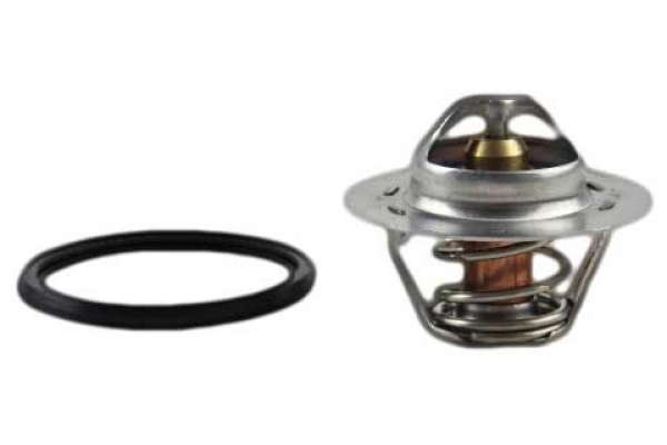 Thermostat d'eau