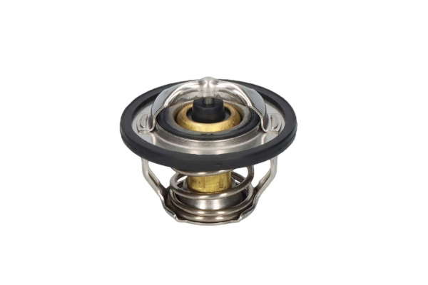 Thermostat d'eau