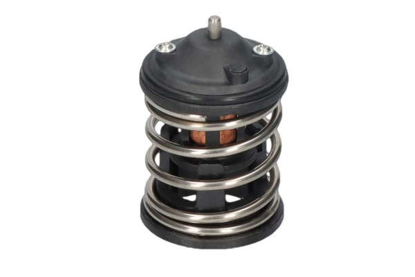 Thermostat d'eau