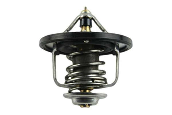 Thermostat d'eau