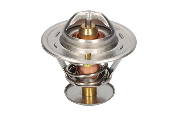 Thermostat d'eau