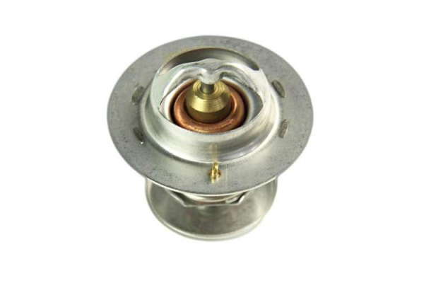 Thermostat d'eau