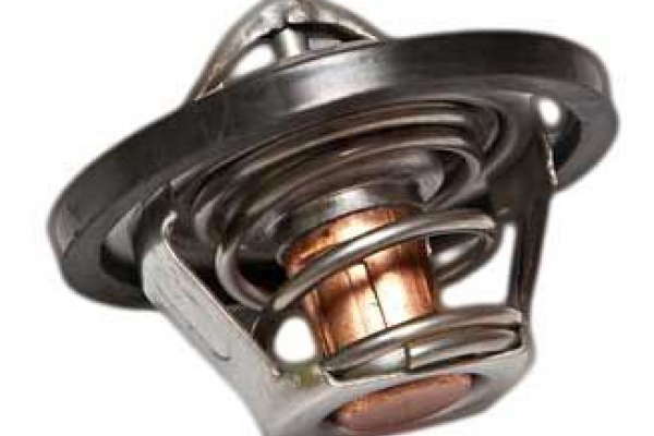Thermostat d'eau