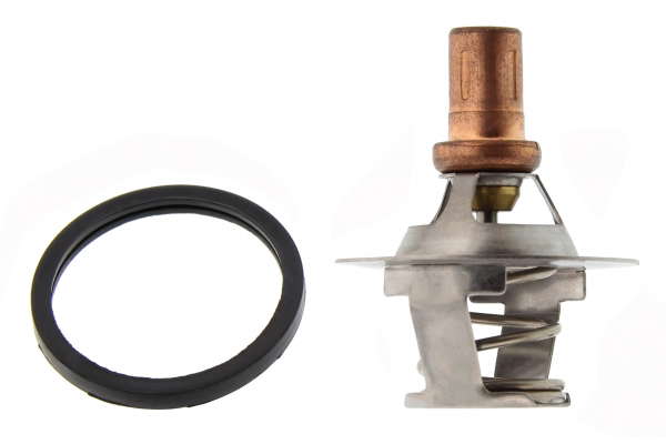 Thermostat d'eau