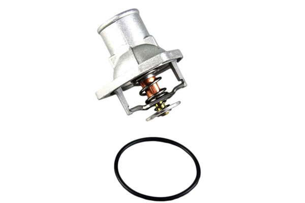 Thermostat d'eau