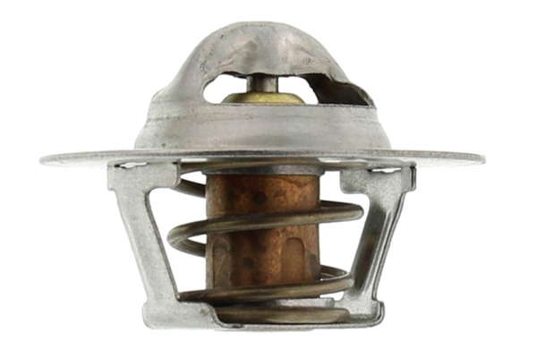Thermostat d'eau