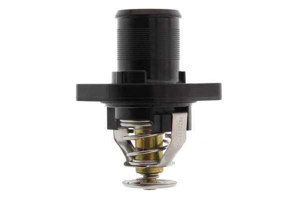 Thermostat d'eau