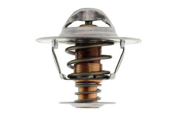 Thermostat d'eau