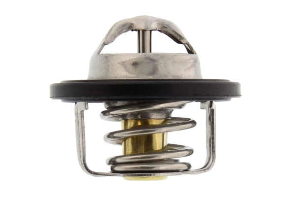 Thermostat d'eau