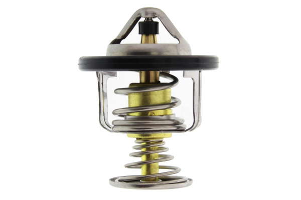 Thermostat d'eau