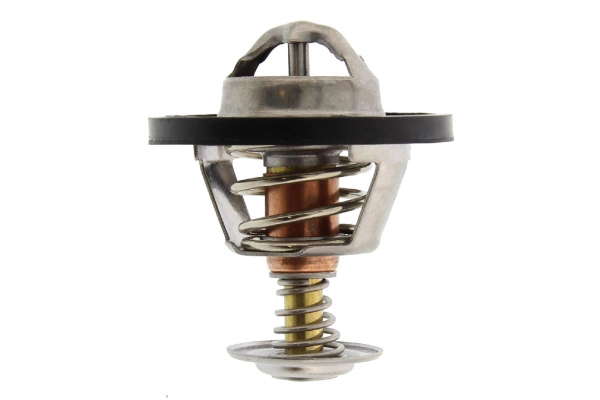 Thermostat d'eau