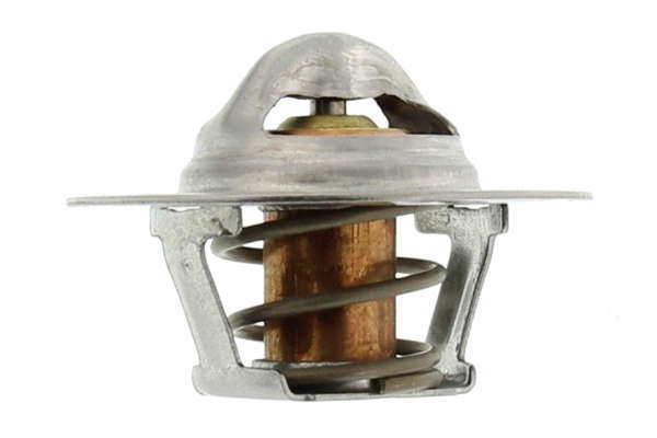 Thermostat d'eau