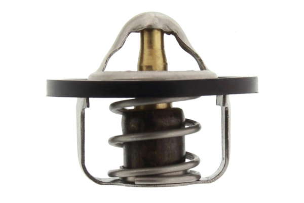 Thermostat d'eau