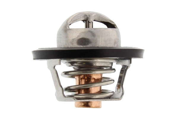 Thermostat d'eau
