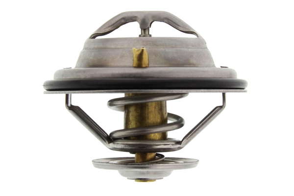 Thermostat d'eau