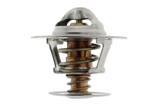 Thermostat d'eau