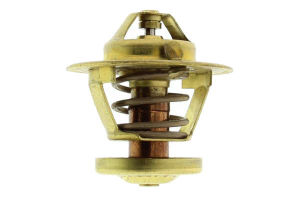 Thermostat d'eau