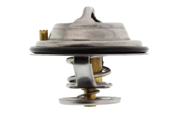 Thermostat d'eau