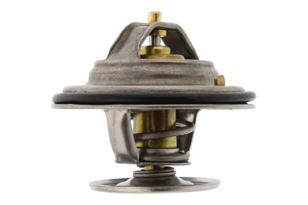 Thermostat d'eau
