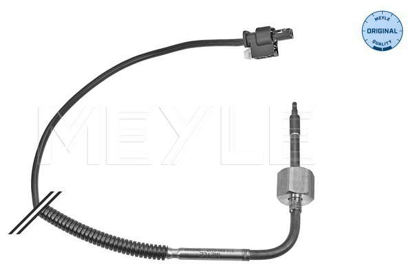 Palpeur (température des gaz)