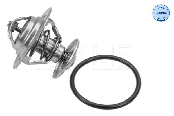 Thermostat d'eau