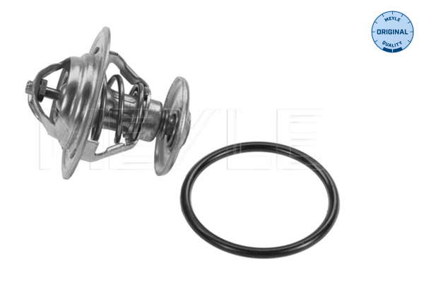 Thermostat d'eau