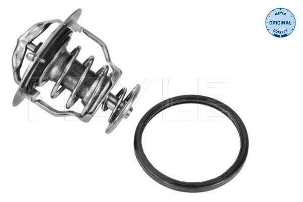 Thermostat d'eau