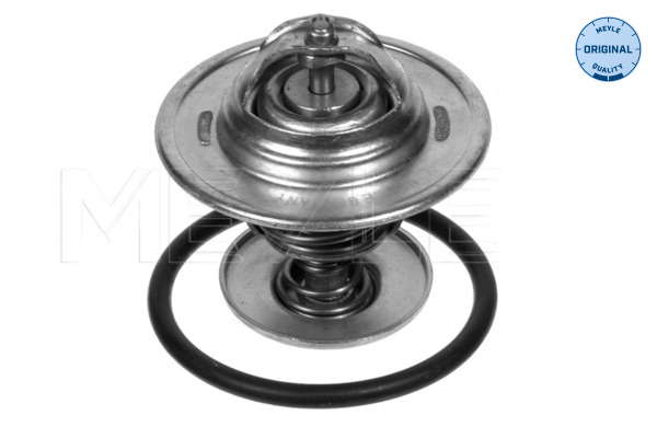 Thermostat d'eau