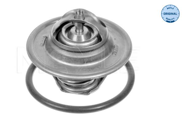 Thermostat d'eau