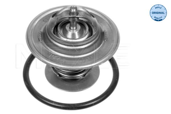 Thermostat d'eau