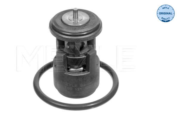 Thermostat d'eau