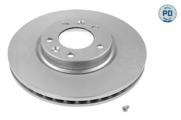 Jeu de 2 disques de frein