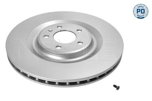 Jeu de 2 disques de frein