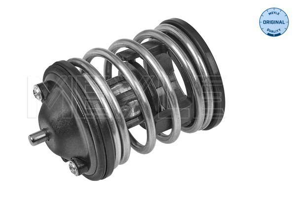 Thermostat d'eau