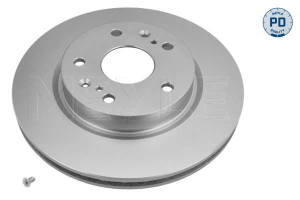Jeu de 2 disques de frein