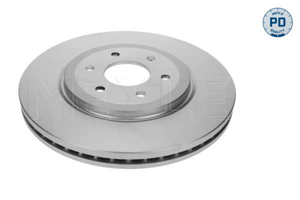 Jeu de 2 disques de frein